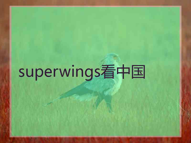 superwings看中国