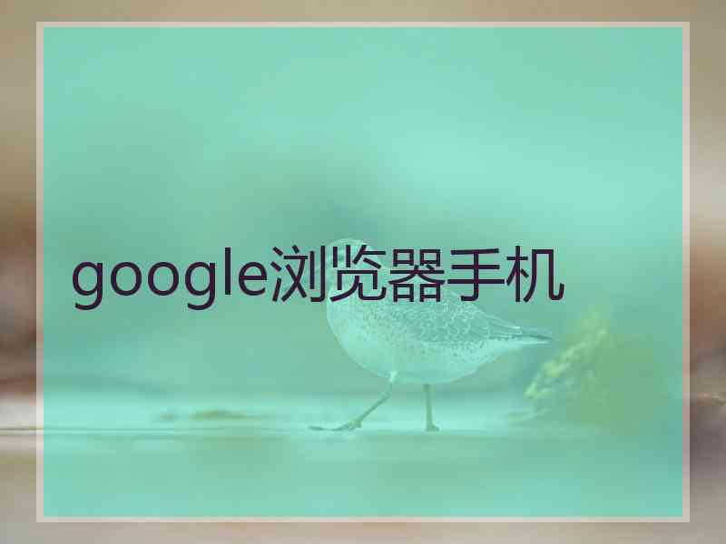 google浏览器手机