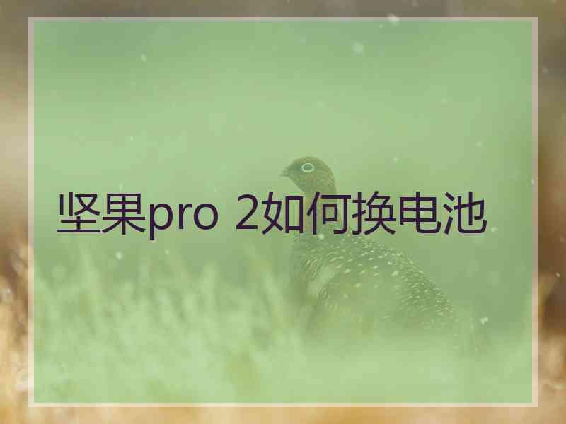 坚果pro 2如何换电池