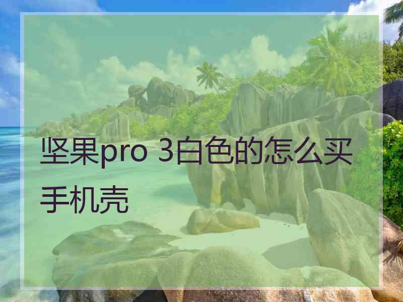 坚果pro 3白色的怎么买手机壳