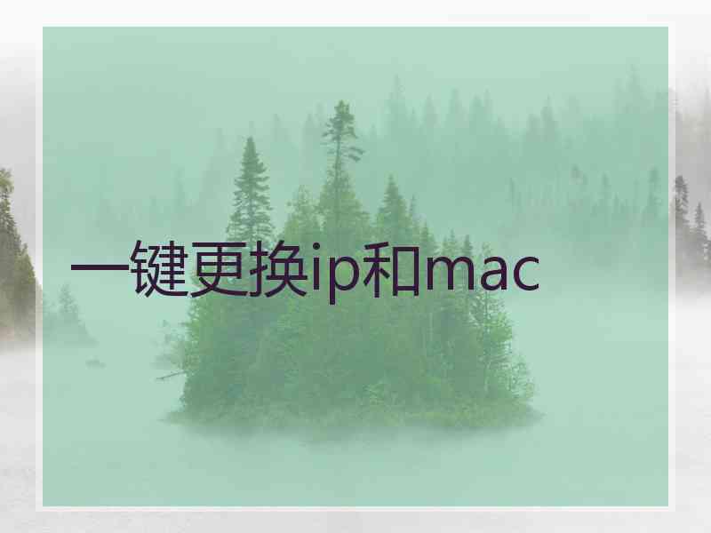 一键更换ip和mac