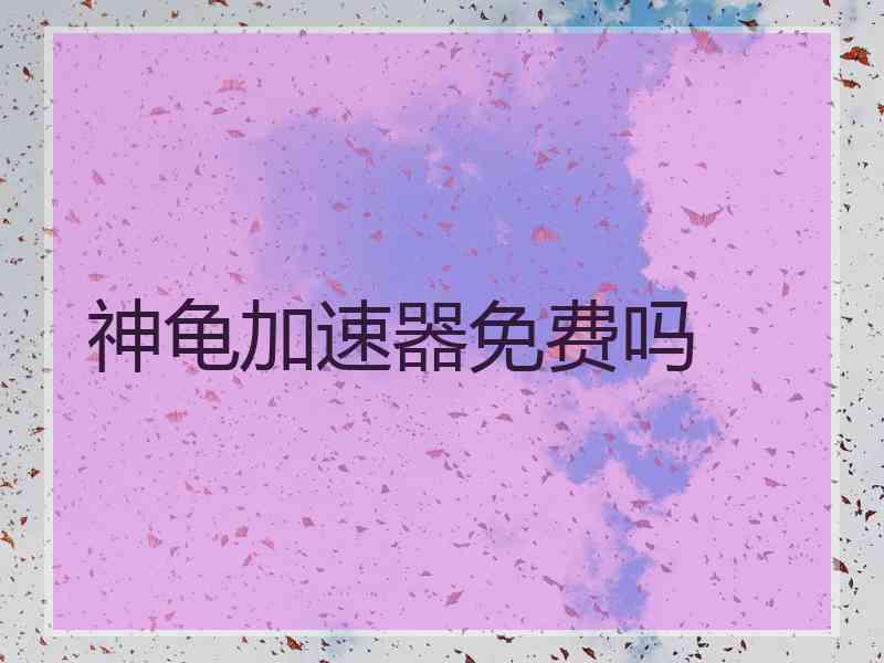 神龟加速器免费吗