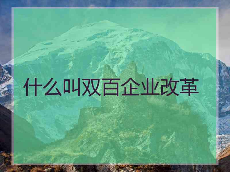 什么叫双百企业改革