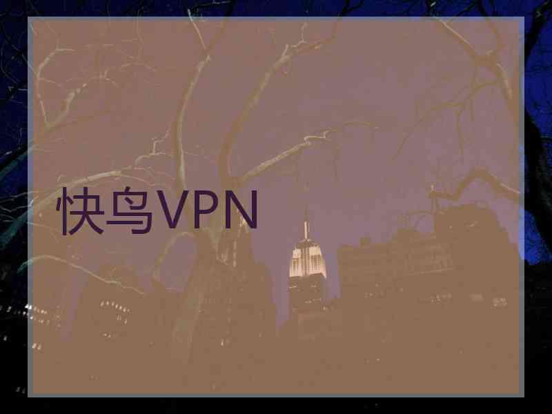 快鸟VPN