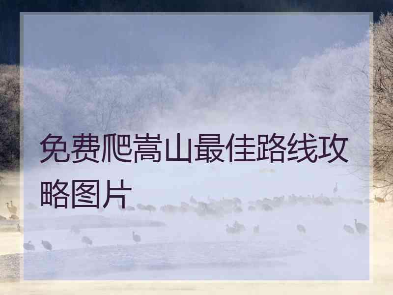 免费爬嵩山最佳路线攻略图片