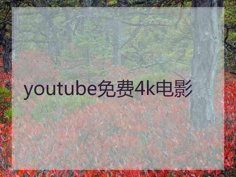 youtube免费4k电影