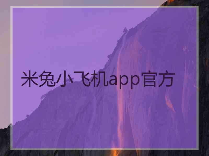 米兔小飞机app官方