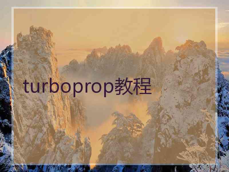 turboprop教程