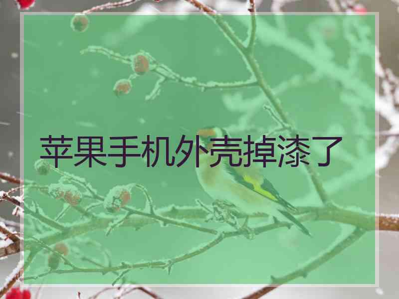 苹果手机外壳掉漆了