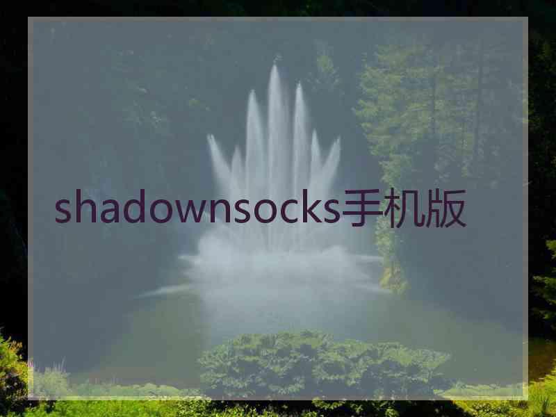 shadownsocks手机版