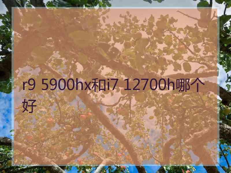 r9 5900hx和i7 12700h哪个好