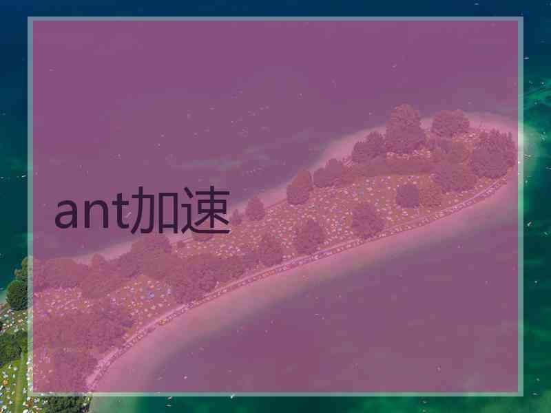 ant加速