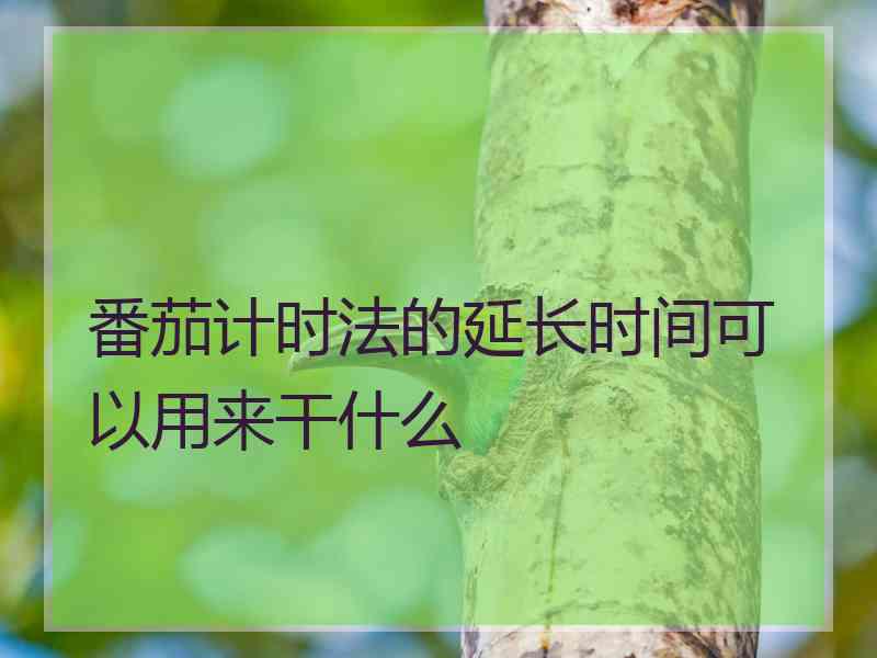 番茄计时法的延长时间可以用来干什么