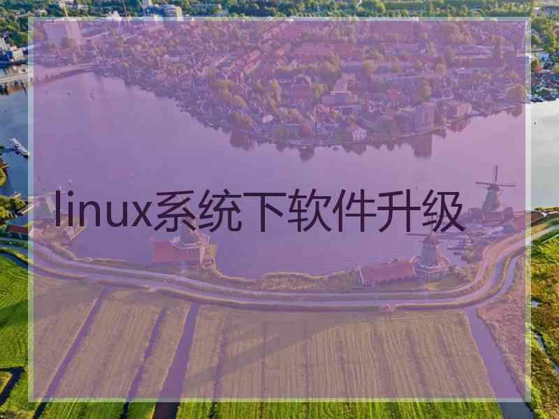 linux系统下软件升级