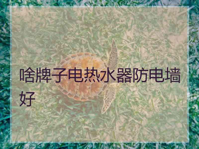 啥牌子电热水器防电墙好