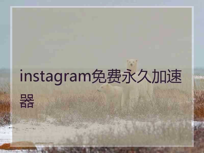 instagram免费永久加速器