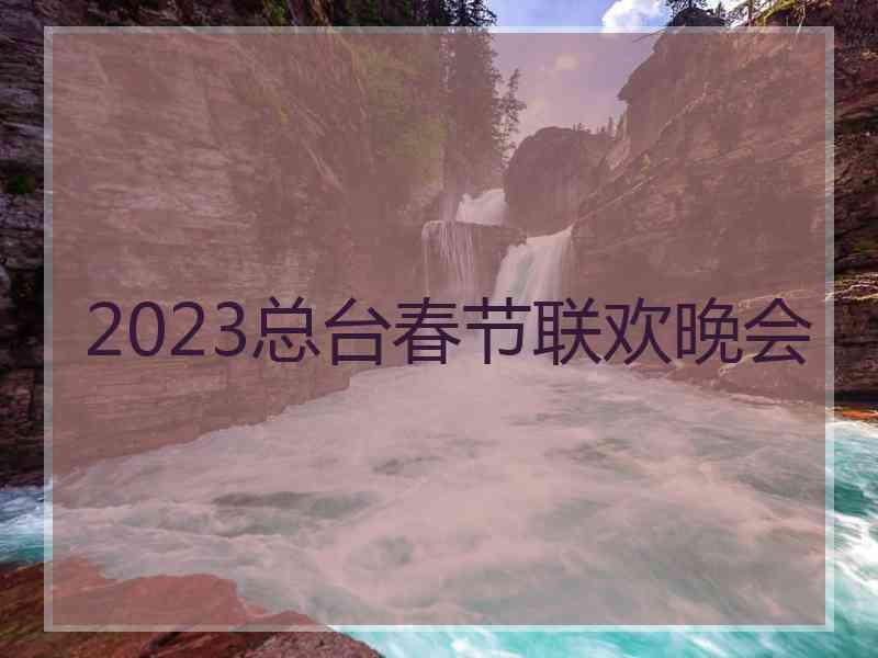 2023总台春节联欢晚会