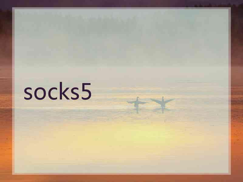 socks5
