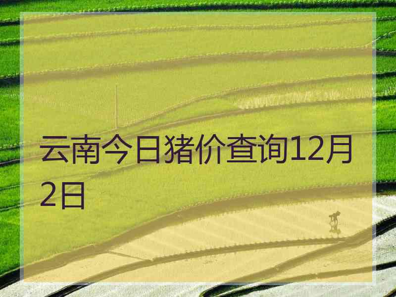 云南今日猪价查询12月2日