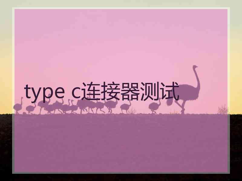 type c连接器测试