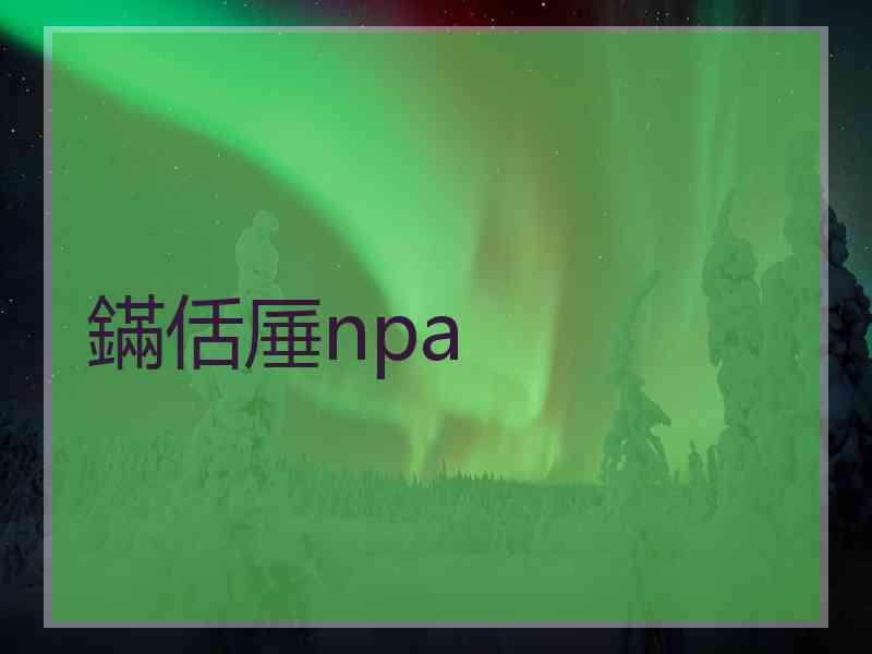 鏋佸厜npa