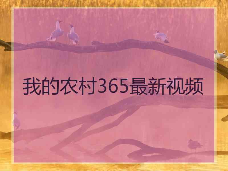 我的农村365最新视频