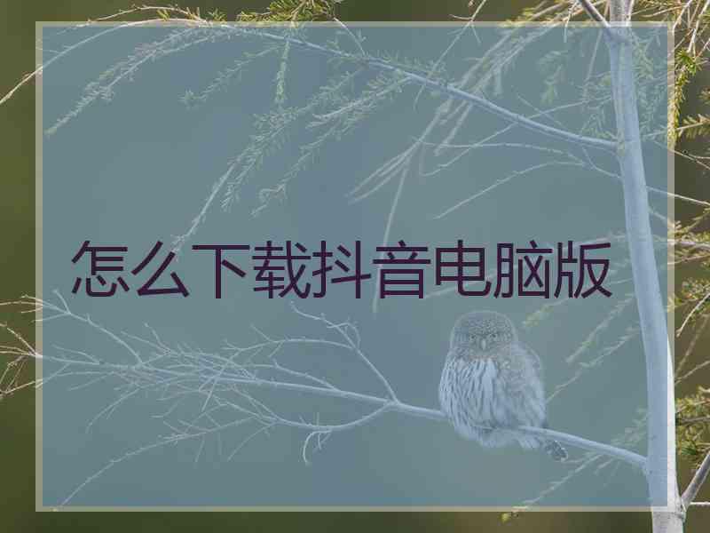 怎么下载抖音电脑版