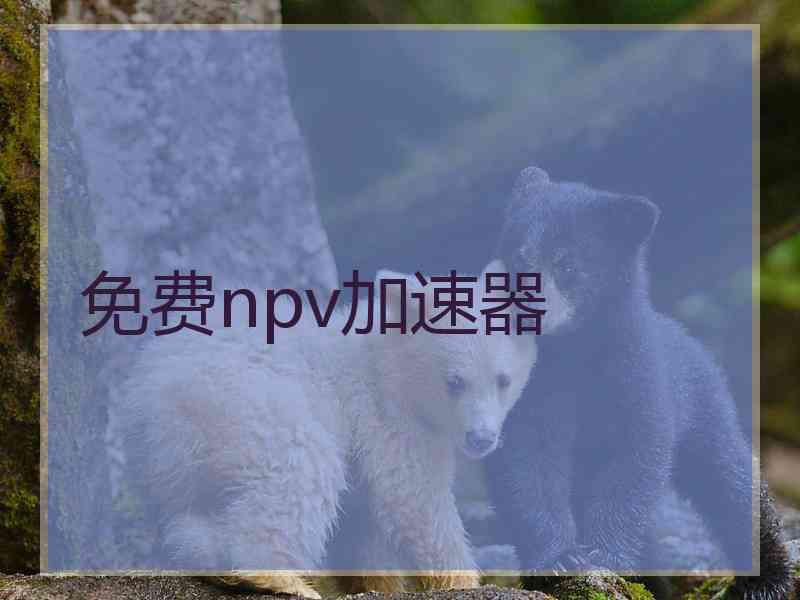 免费npv加速器