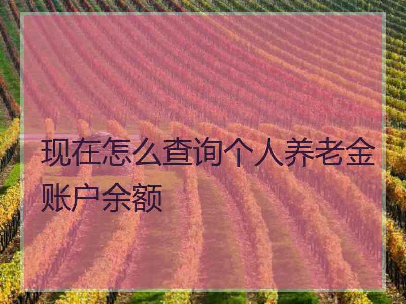 现在怎么查询个人养老金账户余额