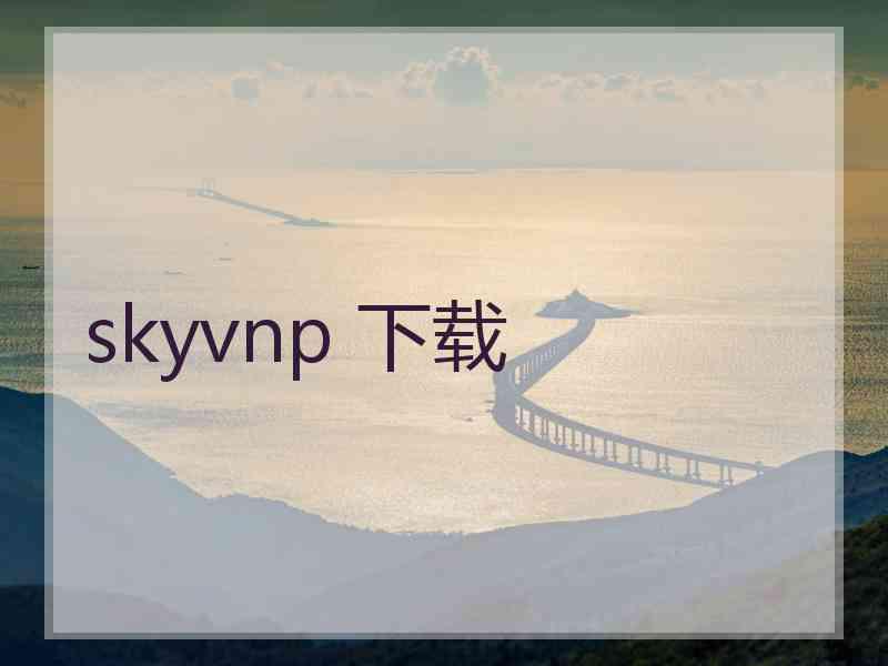 skyvnp 下载