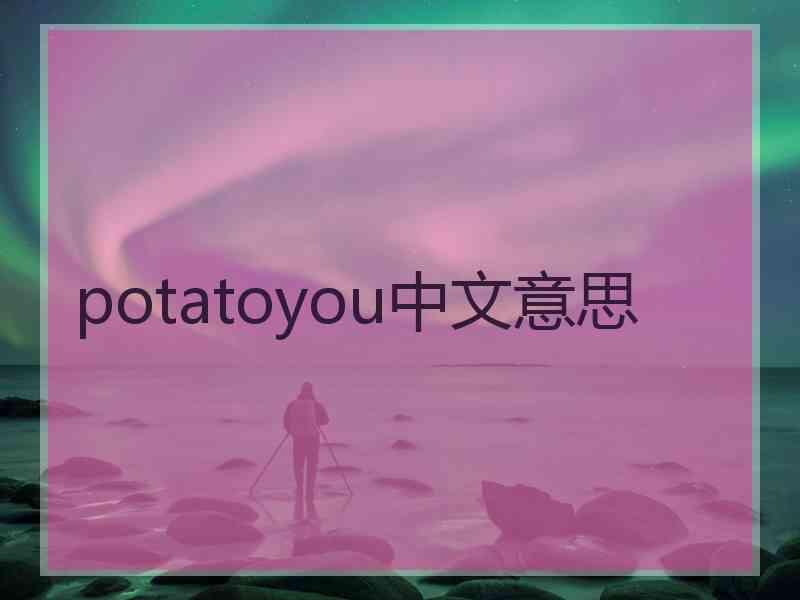 potatoyou中文意思