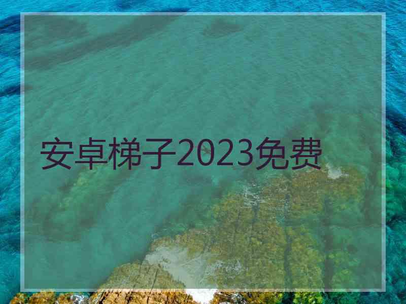 安卓梯子2023免费