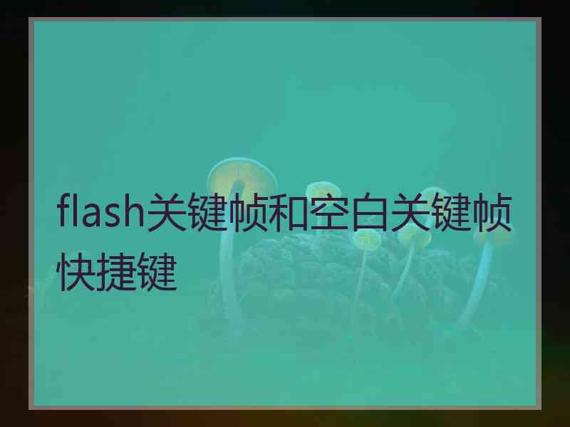 flash关键帧和空白关键帧快捷键