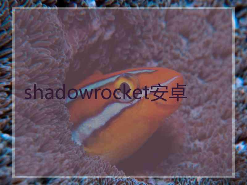 shadowrocket安卓