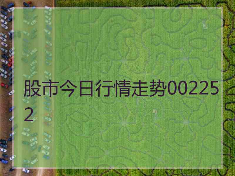 股市今日行情走势002252