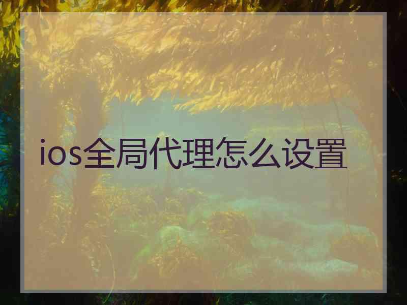 ios全局代理怎么设置