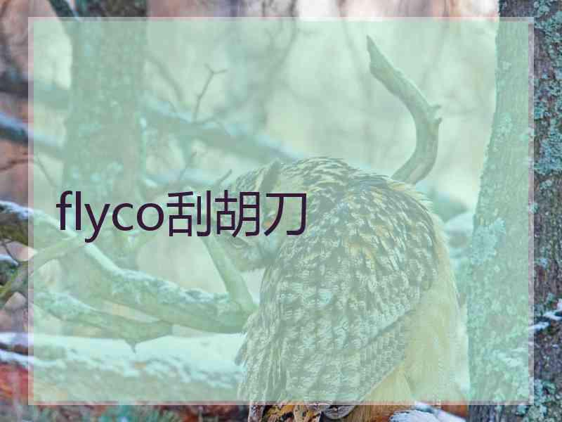 flyco刮胡刀