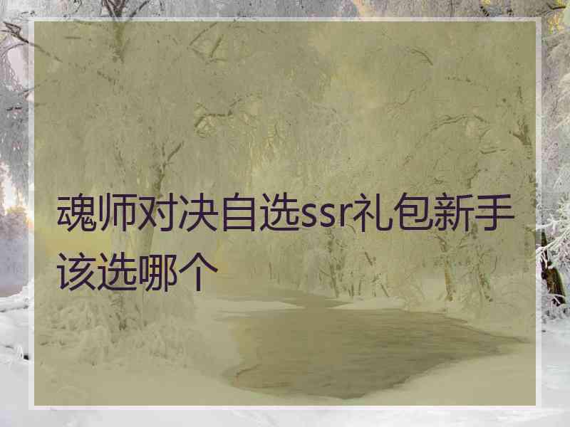 魂师对决自选ssr礼包新手该选哪个