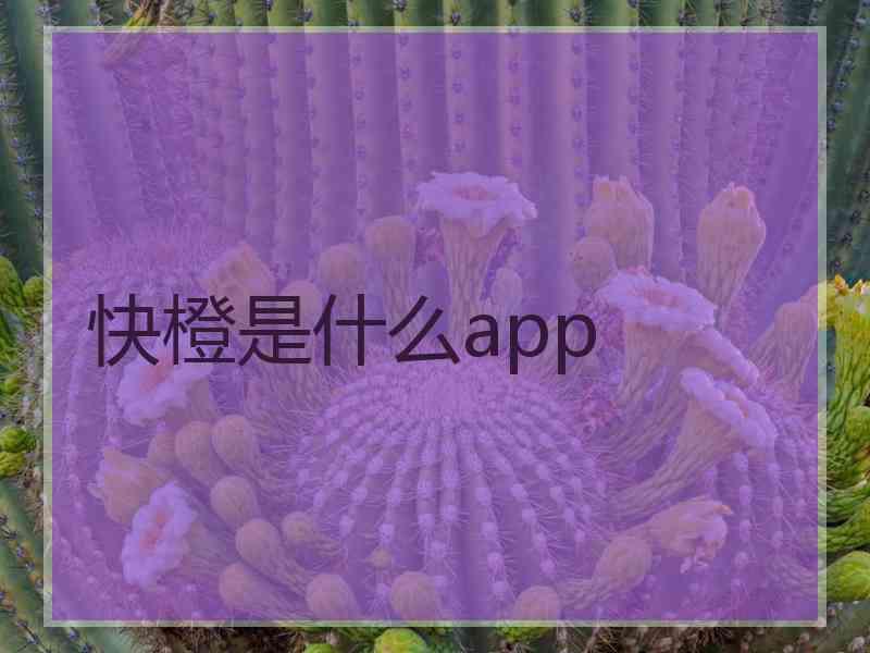 快橙是什么app