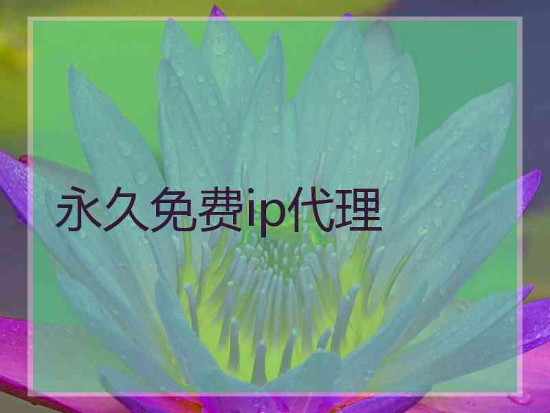 永久免费ip代理