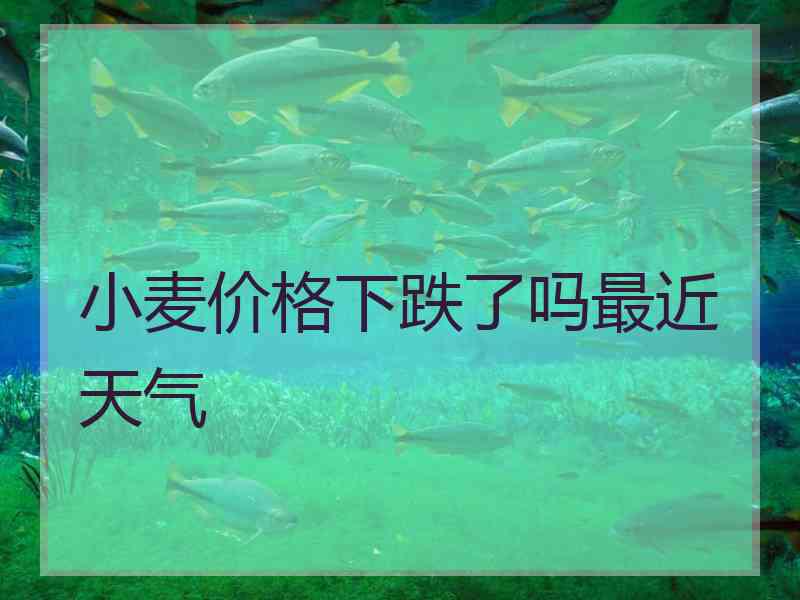 小麦价格下跌了吗最近天气