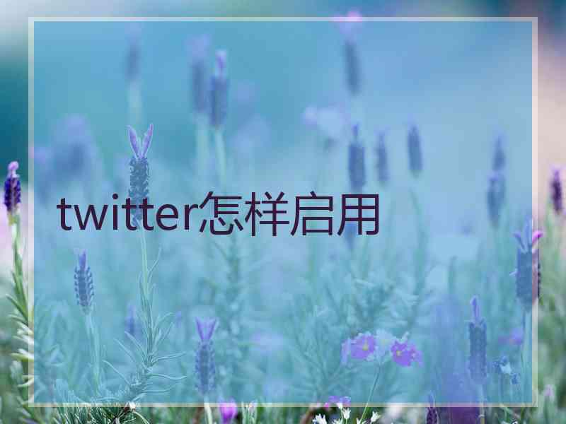 twitter怎样启用