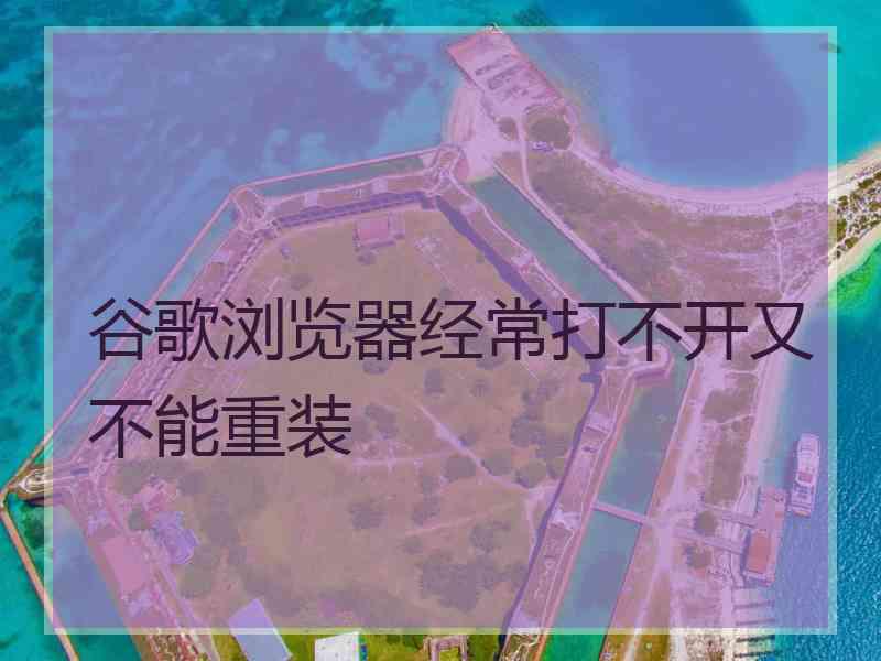 谷歌浏览器经常打不开又不能重装