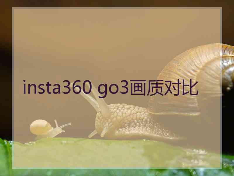 insta360 go3画质对比