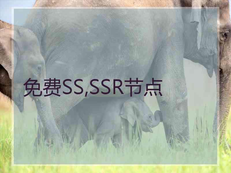 免费SS,SSR节点