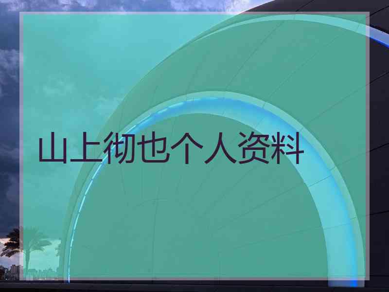 山上彻也个人资料