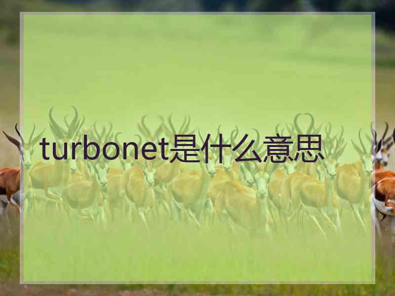 turbonet是什么意思