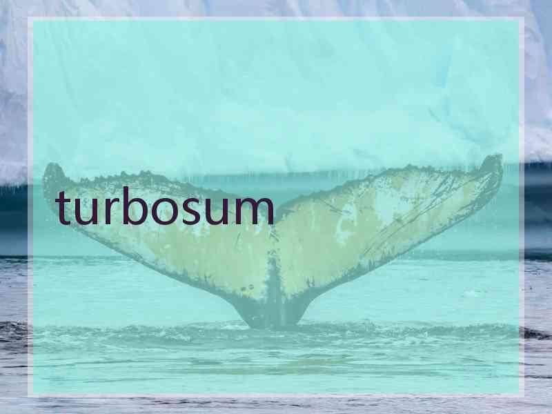 turbosum