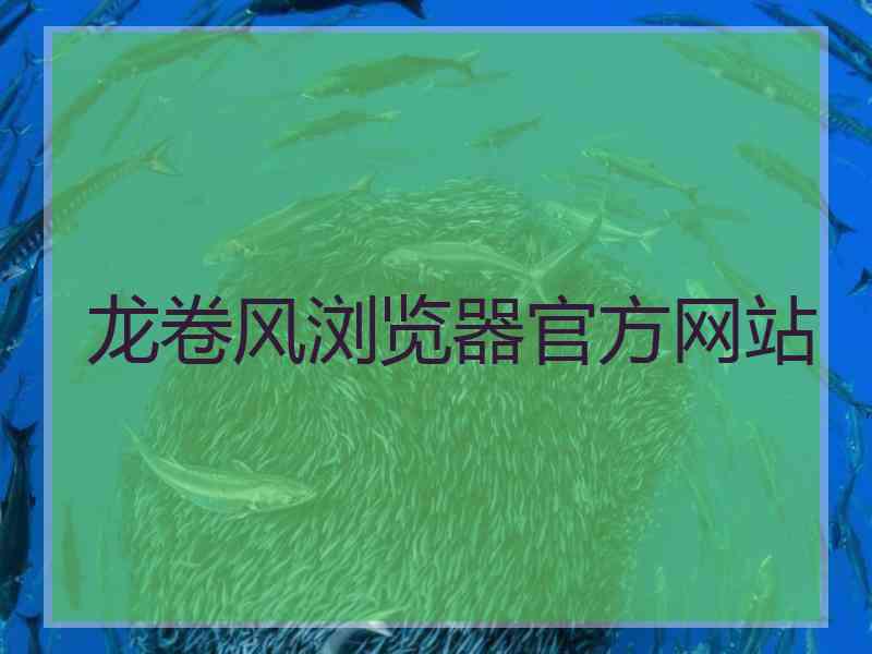 龙卷风浏览器官方网站