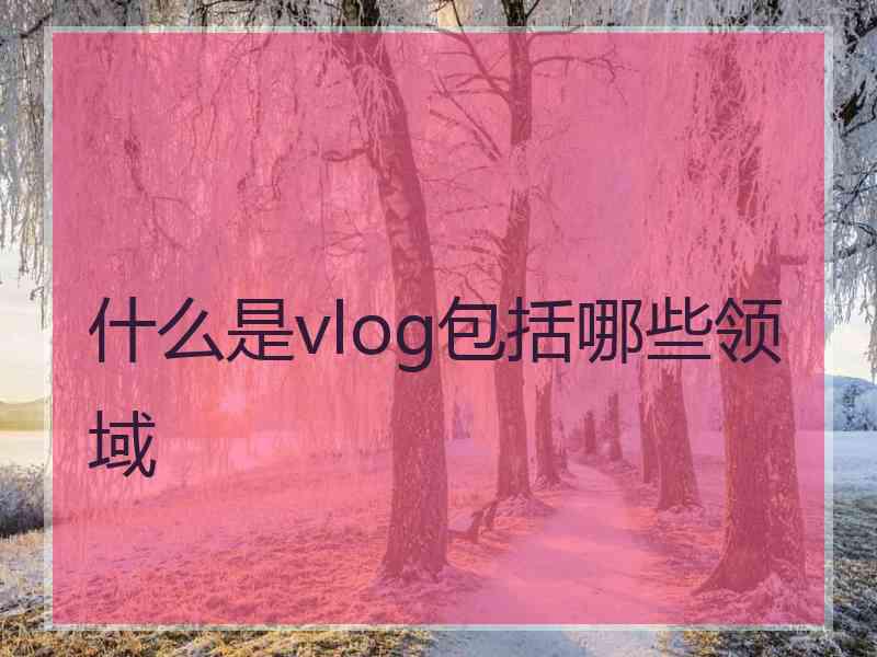 什么是vlog包括哪些领域